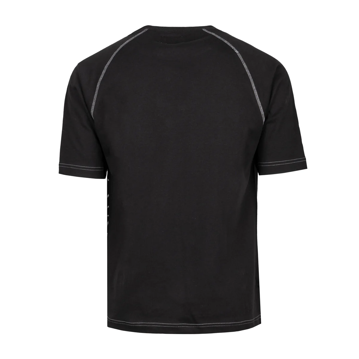 CAMISETA M/C RETRO LION - Image 3