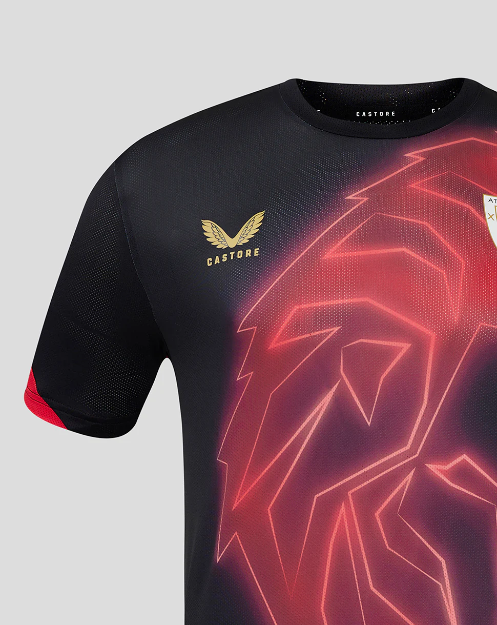 JUNIOR MATCHDAY T-SHIRT 24/25 - Image 4